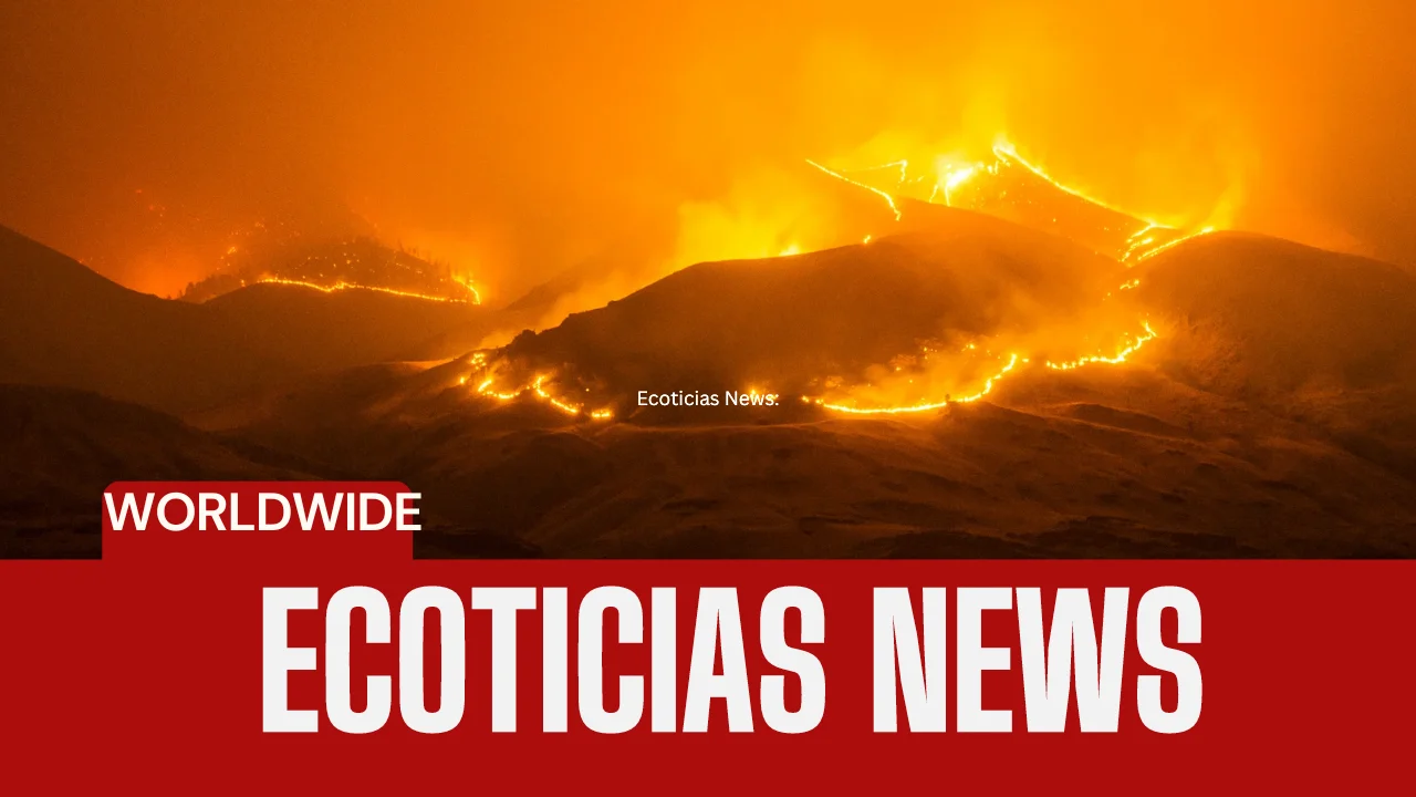 Ecoticias News