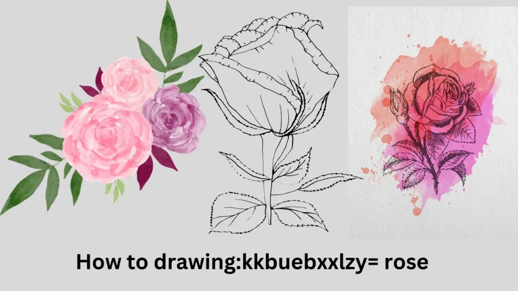 How to drawing:kkbuebxxlzy= rose