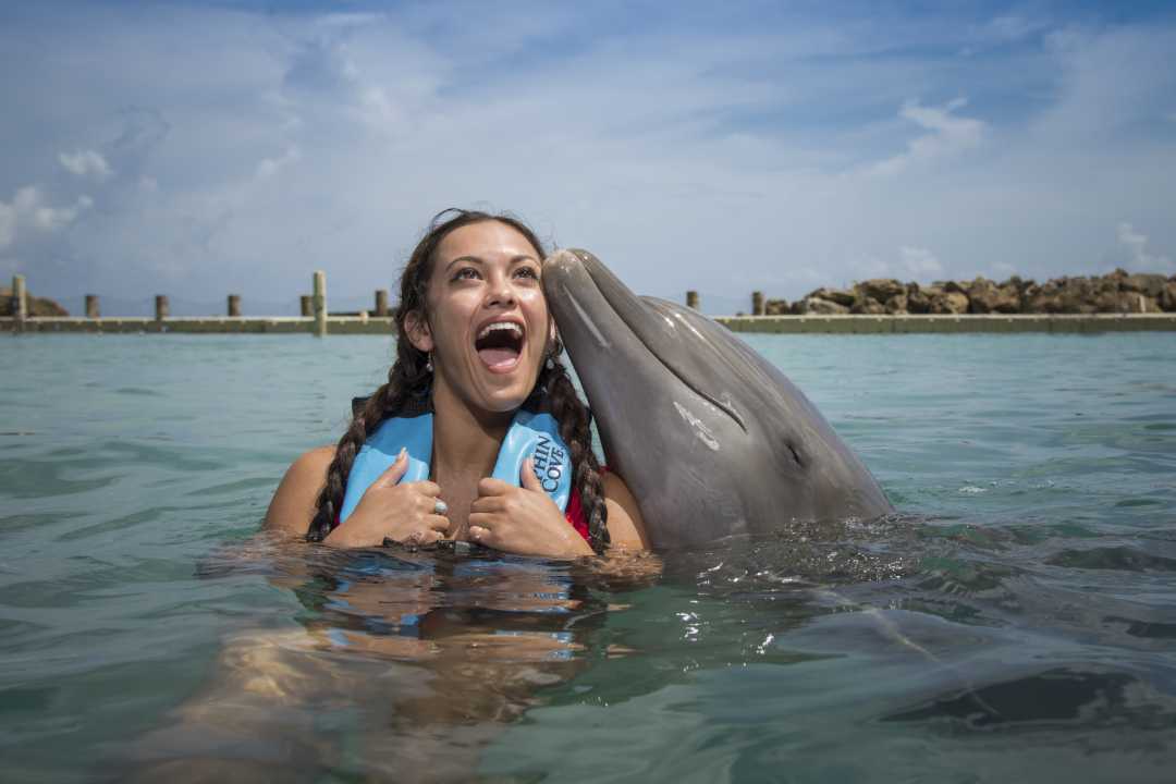 Discover the Magic of Dolphin Cove Jamaica: A Marine Adventure Like No Other