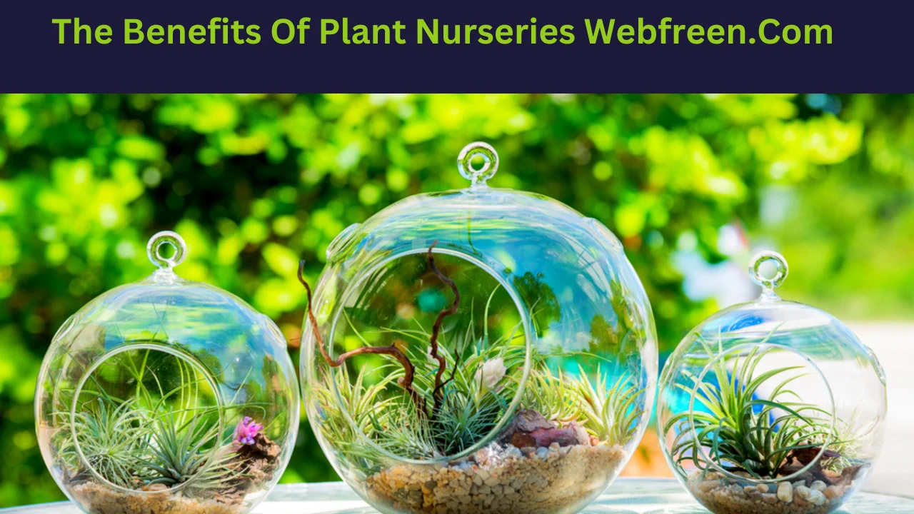 the benefits of plant nurseries webfreen.com